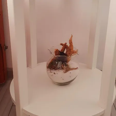 Apartment Seahouse Năvodari